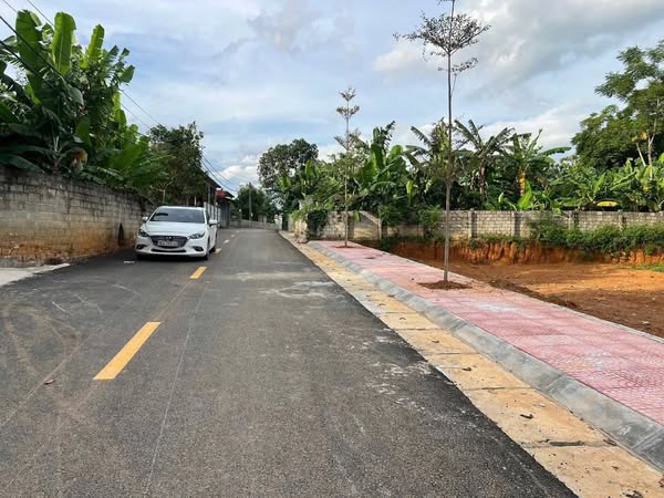 Đất nền xã Triệu Sơn Hoàng Ánh 