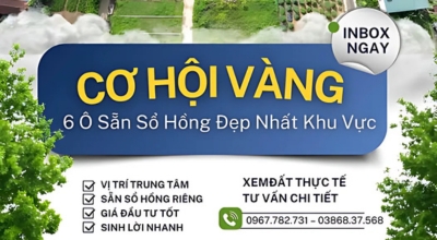 Đất nền Hợp Lý Triệu Sơn giá chỉ từ 1xx triệu